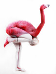 Artwork Image: Flamingo by Gesine Marwedel