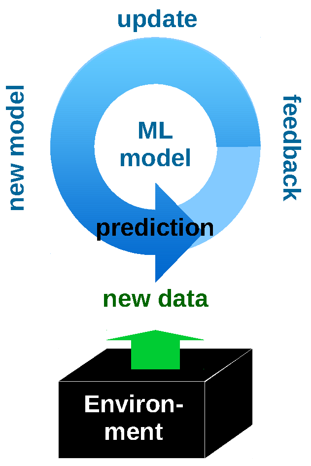 Figure 1 Black-Box Model Adaptation.