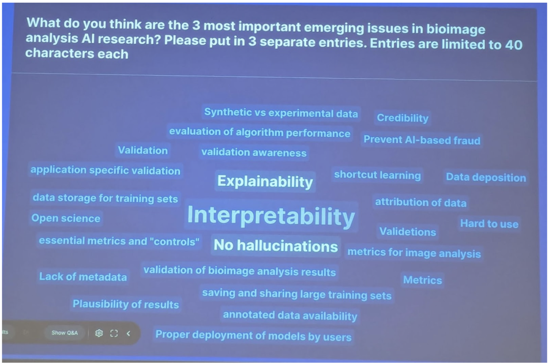 Word cloud generated during the discussion about the emerging issues in bioimaging AI publications and research.